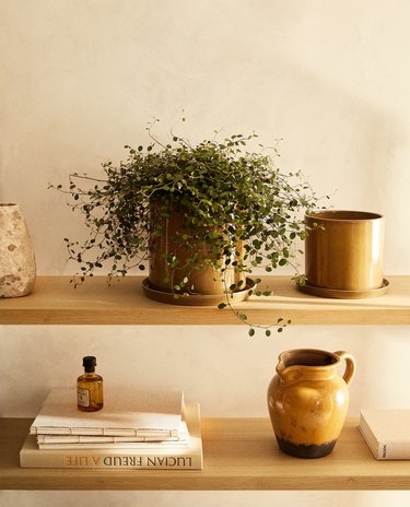 shelf with vases, greenery, and books
