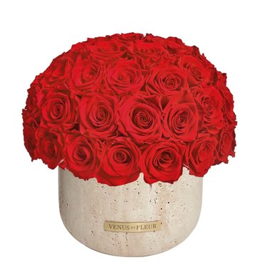 Terre Travertine Vase With Roses in Red