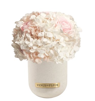 Demi Sandstone Vase with Mixed Hydrangeas in Pure White