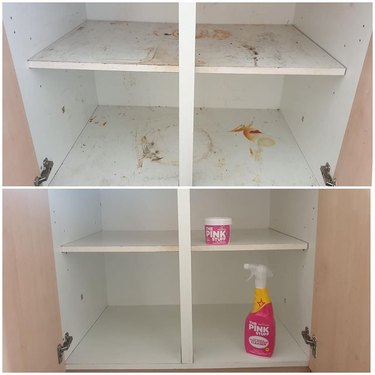 9 The Pink Stuff Before and After Photos | Hunker