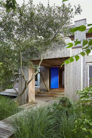 cedar plank home with electric blue front door