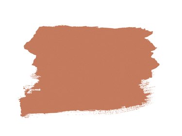 swatch of Sherwin-Williams Baked Clay, a terra cotta