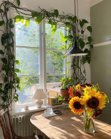 kitchen window surrounded by vines, vase of sunflowers on the table