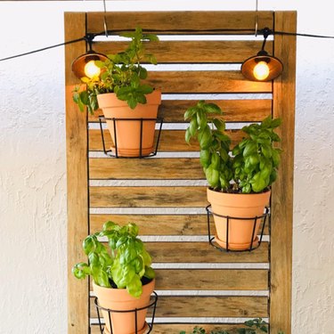 plants in pots hung on wooden slats