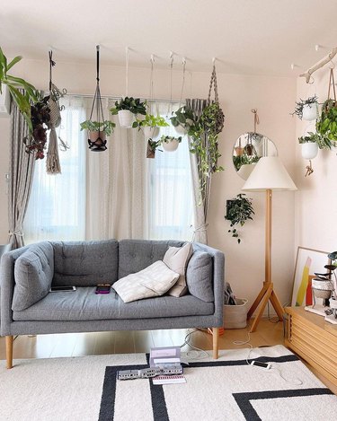 living room with plants hanging above sofa in macrame hangers