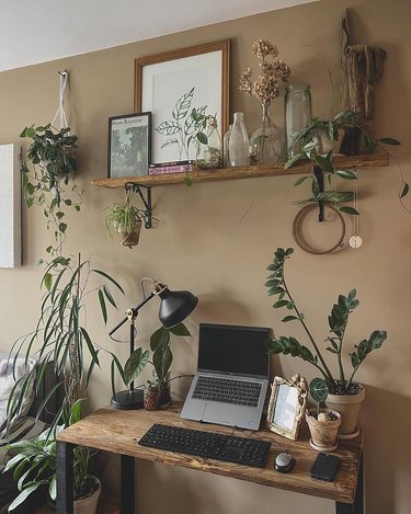 home office space with lots of plants