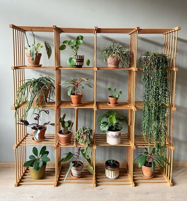 wooden cube shelf room divider with a plant in each cube