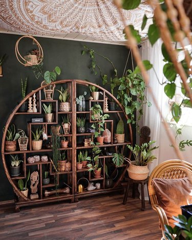 circular shelf filled with plants in front of dark green accent wall