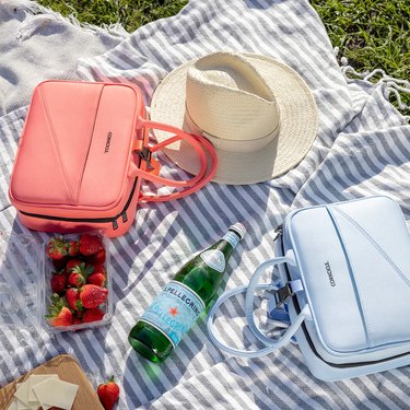 best lunch boxes and bags for adults