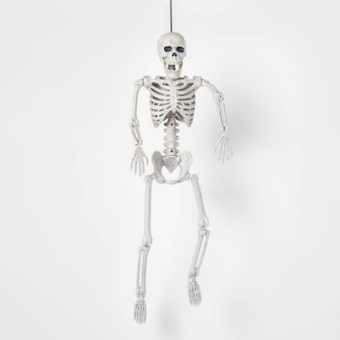 A hanging skeleton that can be moved to show off different poses. The skeleton is shown against a white background.