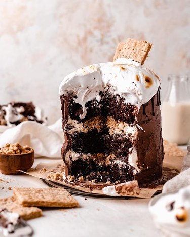The Banana Diaries Ultimate S'mores Cake