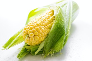 Corn in the husk on a white backgroud