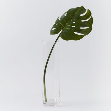 single stem in vase