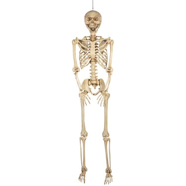 Haunted Living 7-Foot Posable Skeleton