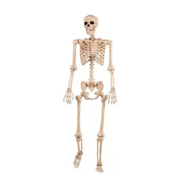 Place & Time Halloween Life-Size Posable Skeleton Decor
