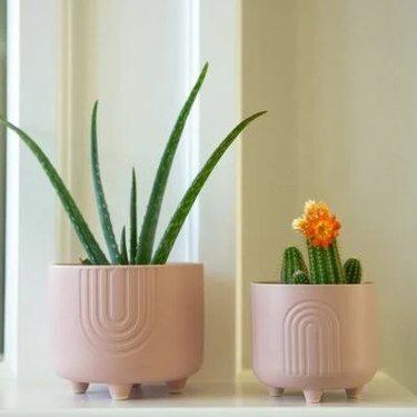 Pink ceramic pots with succulents in them