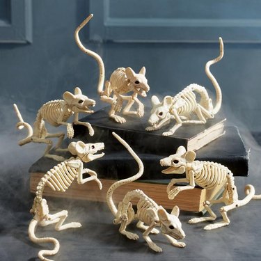 Grandin Road Skeleton Mice