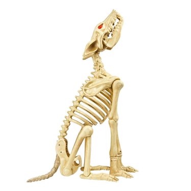 Home Accents Holiday 2.5-Foot Animated Skeleton Wolf With LED Eyes