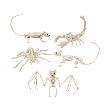 SCS Direct Indoor/Outdoor Halloween Animal Skeletons 5-Pack
