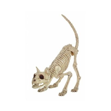 Way to Celebrate! Halloween Faux Skeleton Pouncing Cat