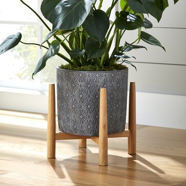 concrete planter