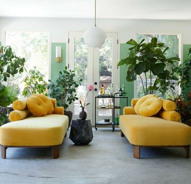 two yellow daybeds in green plant-filled room