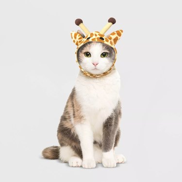 Hyde & EEK! Boutique Giraffe Hat Cat Costume
