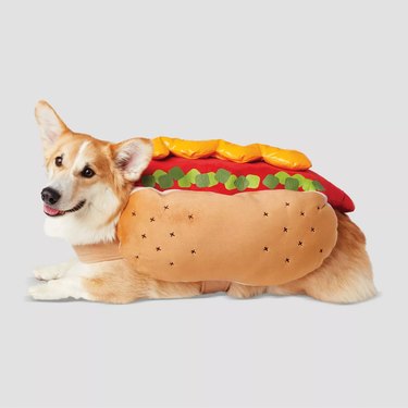 Hyde & EEK! Boutique Hot Dog with LED Dog Costume