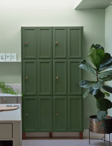 Farrow & Ball's moss green paint color on a tall storage cabinet next to a fiddle leaf fig plant.