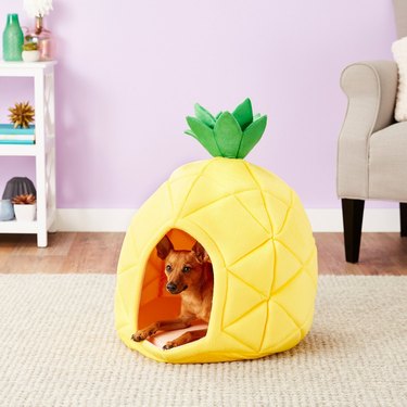 YML Pineapple Covered Cat and Dog Bed