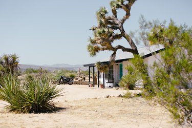 the exterior of a small white house with a sandy front yard partially hidden behind a joshua tree