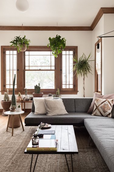 grey couch, wood coffee table and hanging plants in a minimalist living room