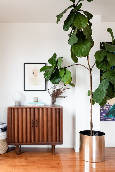 Tree plant in a metal planter, next to a wood Midcentury credenza with a globe light and a vase of dried flowers.