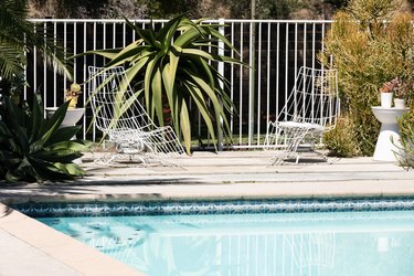 Swimming pool with Modernist style wire chairs, white drum side tables, and outdoor plants.