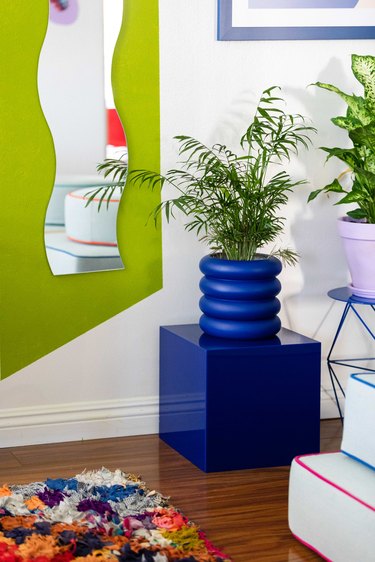 Palm plant in a blue stacking planter on a blue cube. Wavy mirror on a green wall. Colorful shag rug on a wood floor.