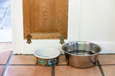 dog bowls on tile floor