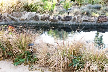 An in-ground swimming pool that is surrounded by landscaping