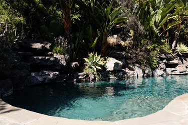 An in-ground swimming pool surrounded by plants and rocks