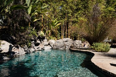 a sparkling pool surrounded by lush trees and large bolders