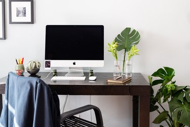 home office desk with computer and monstera plant