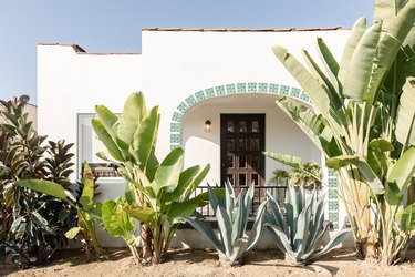 A white mediterranean-style house with large green plants in the front