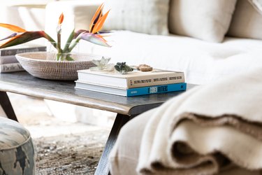 Living room coffee table with books and a plant
