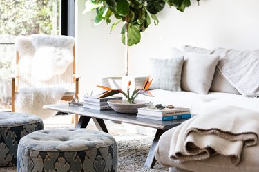 Living room with white-gray furniture and tree plant.