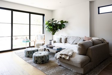 A white-walled living room with a large window, tree plant, and gray furnishings