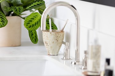 Sink on a vanity countertop with potted plant and ceramic cup with toothbrushes
