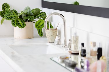 White vanity countertop with potted plant and sink