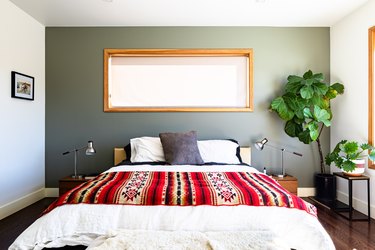 A bedroom with a large plant, wood-framed windows, and white and green walls