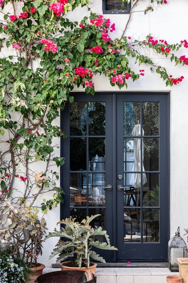 Black French doors with a pink flower tree and potted plants