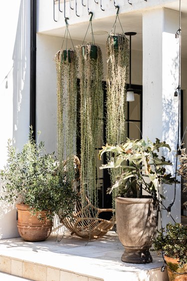 A porch with both potted and hanging plants
