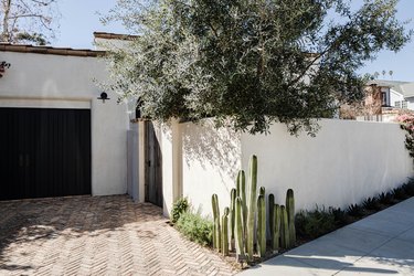 Cactuses planted against a white stucco fence